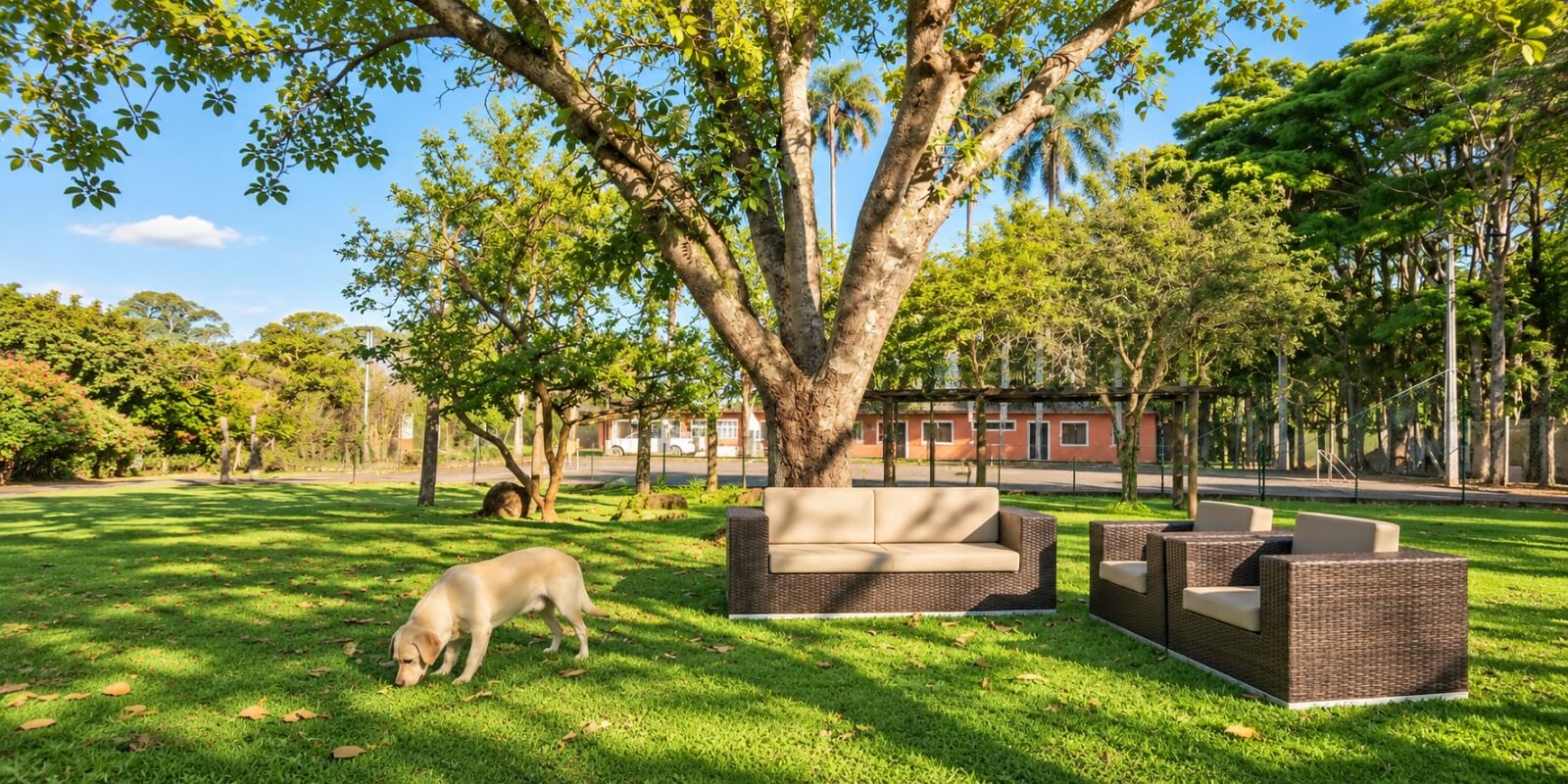 Espaço externo de descanso, cercado por árvores e natureza