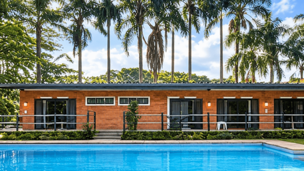 Piscina cercada por palmeiras